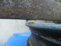 DSCN6288.JPG