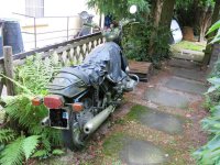 IMG_0003.jpg
