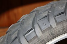 IMG_2901.jpg