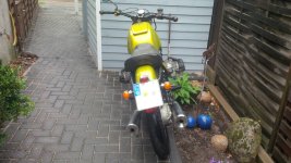 IMG_00000019.jpg