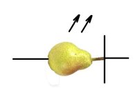 LED-Birne.jpg