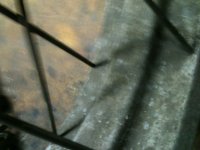 IMG_0896.jpg