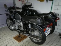 Zwei schwarze Kühe 1.jpg