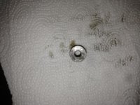 K1024_IMG_0737.JPG