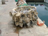 Sternmotor.jpg