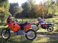 Herbst 2007 Eifel.jpg