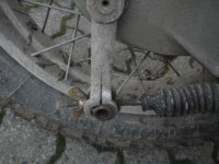 DSCN0719.jpg