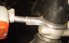 1183_Bl_halter_lang.jpg