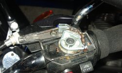 Nocken 40mm.jpg