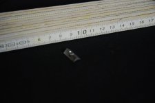 DSC_7555.jpg