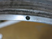IMG_0128.jpg
