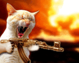 th_Cat-CatFiringMachineGun.gif