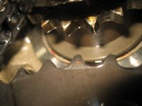 IMG_5308.jpg IMG_5308.jpg