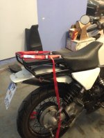 IMG_1104.JPG