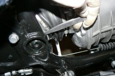 Schwinge Fühlerblätter.jpg