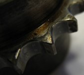 IMG_9595a.jpg IMG_9595a.jpg