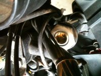 IMG_0982.jpg IMG_0982.jpg