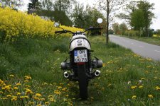 IMG_8265.jpg
