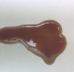 Getriebeöl GS.jpg Getriebeöl GS.jpg