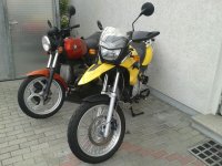 Beide BMWs.JPG