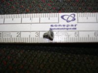 DSC08193.jpg DSC08193.jpg