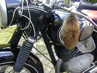 Fuchsschwanz.jpg