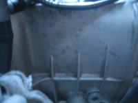 IMG_1624.jpg