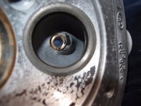 Köpfe sauber20150227_05.jpg