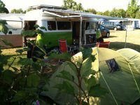 IMG_0732.jpg