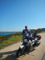 Töff und Ginster Kopie.JPG