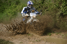 RdC.gif