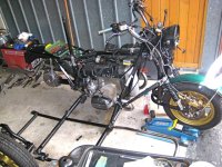 IMG_0566.jpg