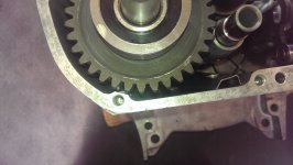 IMAG2301.jpg IMAG2301.jpg