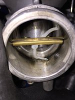 IMG_3246.jpg IMG_3246.jpg