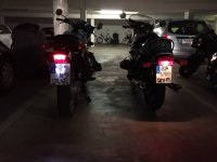 IMG_2937x.jpg