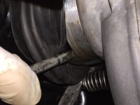 thumb_IMG_3585_1024.jpg thumb_IMG_3585_1024.jpg