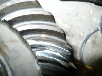 P1010781.JPG P1010781.JPG