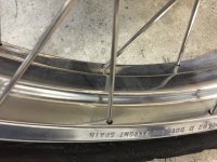 IMG_3267[1].jpg