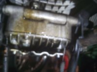 IMG_20160109_161113.jpg