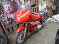 IMG_0787.jpg