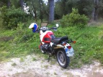 IMG_0131.jpg