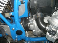CIMG5586.jpg