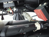 IMG_0020.gif