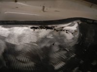 DSCN2725.jpg