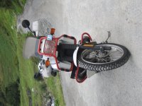 IMG_1255.jpg