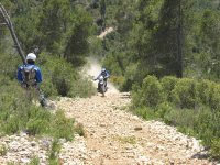 IMG_8895-L.jpg
