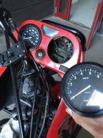 IMG_1936.jpg