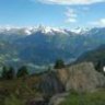 Lieblingsliebling