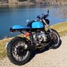 Tuttlboxer