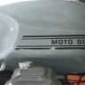 guzzi